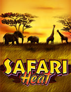 เช็กชี่บาคาร่า ทดลองเล่น สุดสนุกจาก Jili